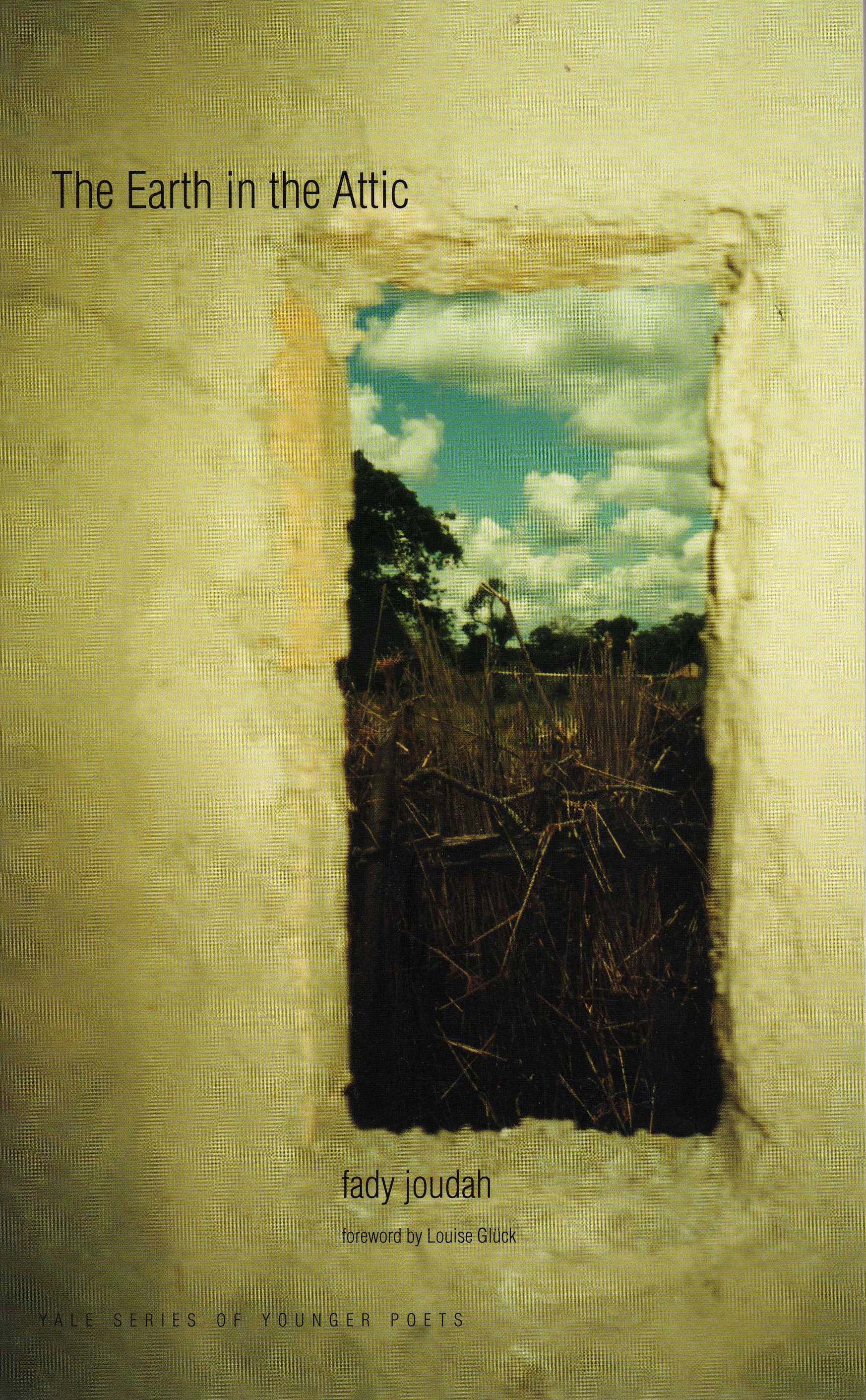 cover of earth in the attic